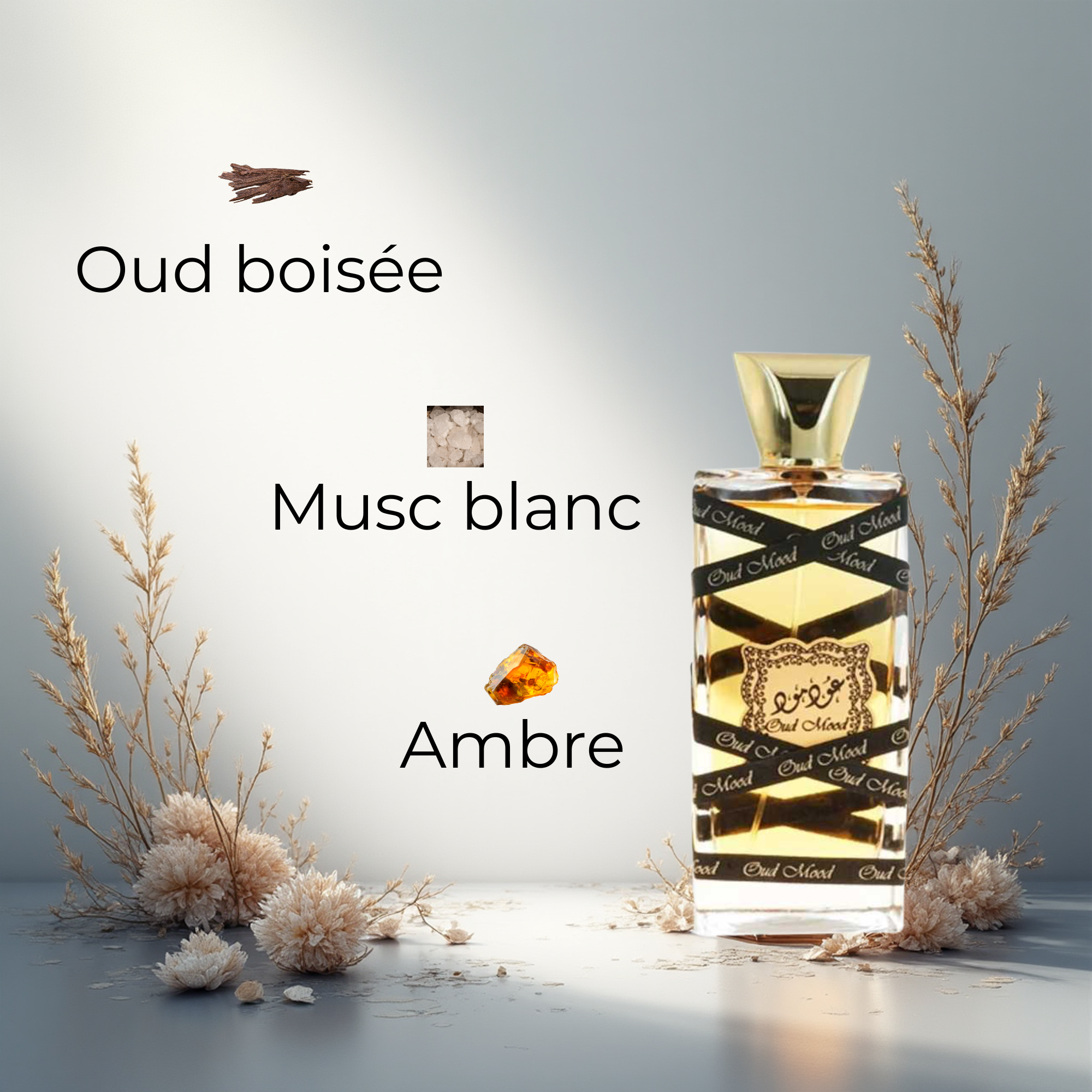 Oud Mood – Eau de Parfum Mixte | Lattafa 100ml
